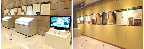 展示風景